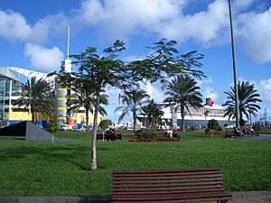 Puerto desde museo Elder