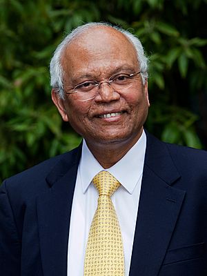 A portrait photograph of Raghunath Anant Mashelkar taken in April 2009.