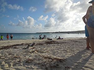 Rocky Cay Beach