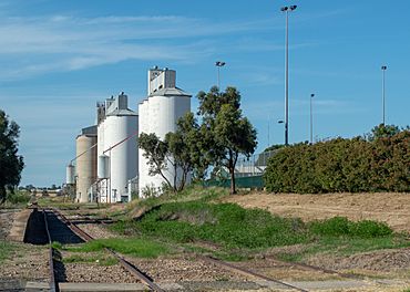 Roseworthy-silos.jpg