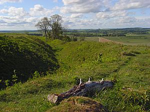 Sidbury hill geograph-433901-by-Andrew-Smith.jpg