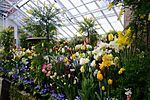 Smith botanic garden greenhouse.JPG