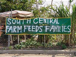 South Central Farm 2