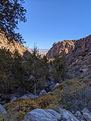 Tahquitz Canyon.jpg