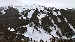 Thredbo July 2011