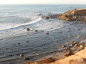 Tidal pools at Cabrillo National Monument DSCN0429