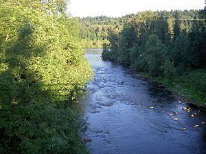 Tualatin River.jpg