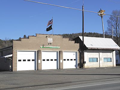 Vigilante Engine Co Rome PA