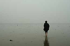 Walker on the Broomway