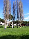 Washington Square Park (San Francisco).jpg