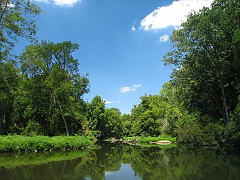 WhiteClayCreek.jpg