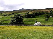 Wildboar fell-june