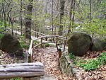 Woodland path Wave Hill 1.jpg