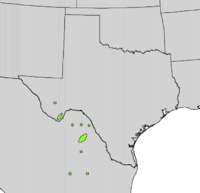 Yucca rostrata range map