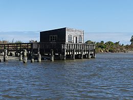 Ōkārito Lagoon 2 MRD 08