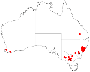 Acacia prominensDistMap721.png