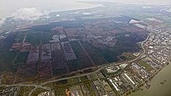 Aerial view of Burns Bog.jpg