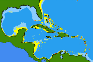 Antennarius multiocellatus range.png