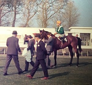 Apalachee (Lester Piggott)