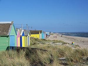 Aspendale beach