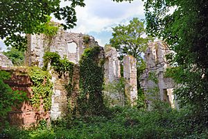 Betchworth Castle (3).jpg