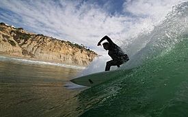 Blacks surfer