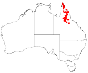 Boronia bowmaniiDistMap17.png