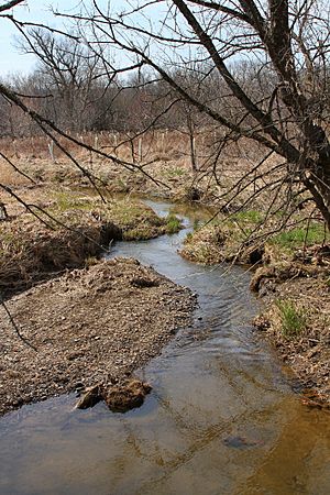 Broad Run looking downstream