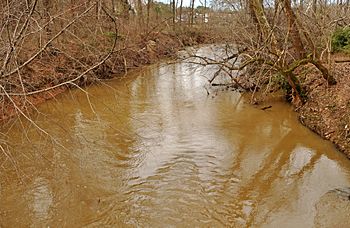 Crabtree Creek.jpg