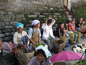 Darjeeling tea processing unit (7168687423)