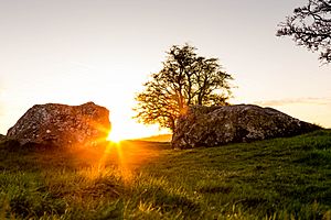 Digital Eye–2015–Castleruddery Embanked Stone Circle.jpg