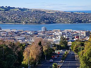 Dunedin City Centre from Roslyn