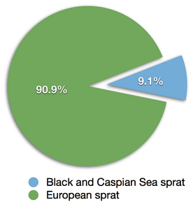 Global total production sprats