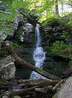 Halcott Mountain parking lot waterfall