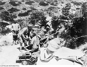 Indian Mountain Battery at Anzac Cove