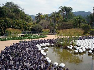 Inhotim yayoi kusama 01