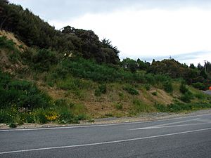 Kaitoke railway station 04