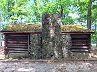 LRWalls-Chambers Park Log Cabin Ext3.jpg