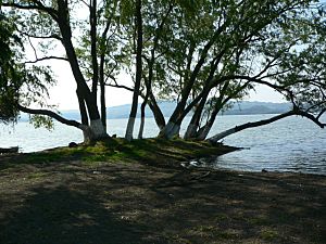 Laguna catemaco shore