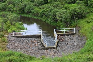 Lake Jean outflow