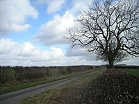 Lane near Rockhill - geograph.org.uk - 705623