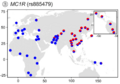 MC1R (rs885479)