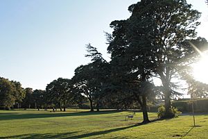 Orchar Park, Broughty Ferry