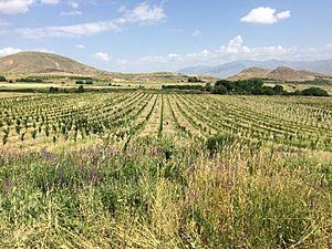 Orchards near Azatek, Vayots Dzor, Armenia 2613