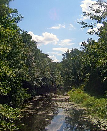 Otter Kill in Hamptonburgh, NY.jpg