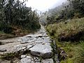 Part of the Inca Trail