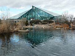 Rio Grande Botanical Garden Pond