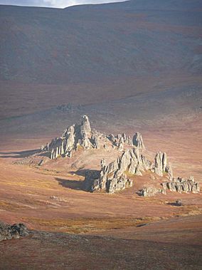 Serpentine Tors 2007-013 NPS1.jpg