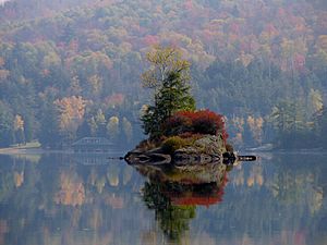 Small Island in Lower Saranac Lake