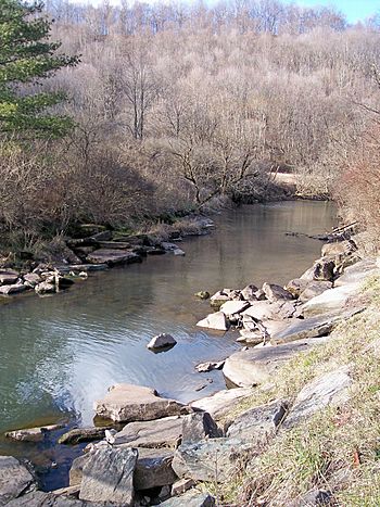 Stonecoal Creek Right Fork.jpg